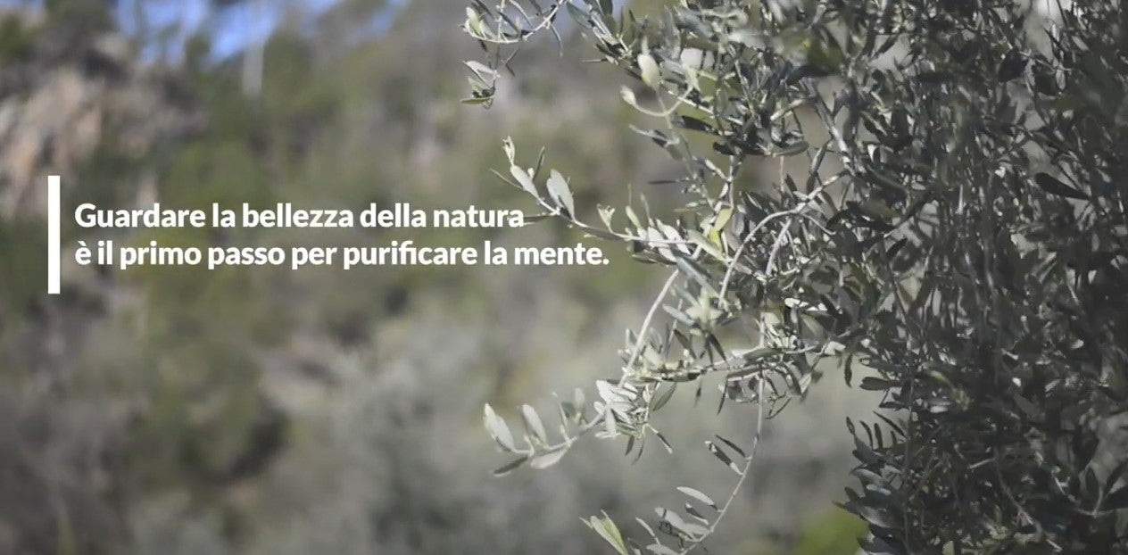 Carica il video: 