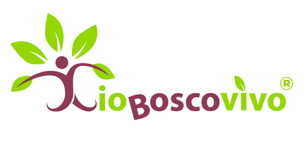 IoBoscoVivo Srl